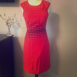 J Crew Polka Dot Sheath Dress